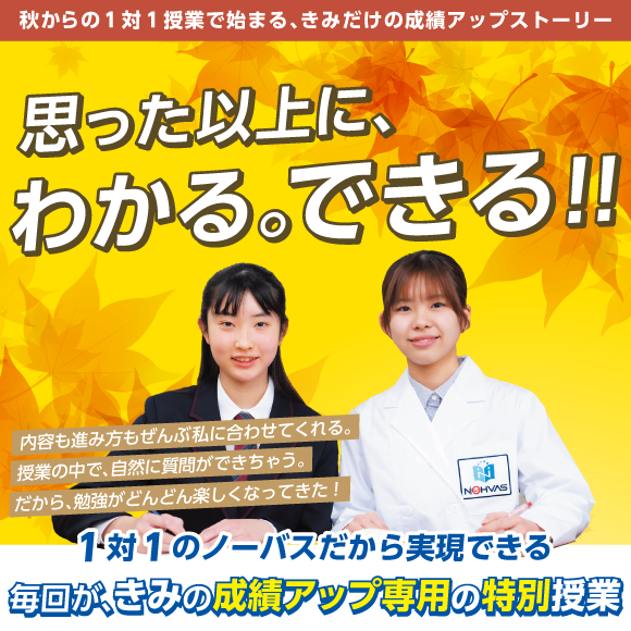思った以上に、わかる。できる!