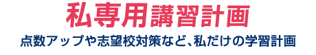 私専用講習計画：点数アップや志望校対策など、私だけの学習計画。