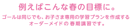 例えばこんな春の目標に。ゴールは同じでも、お子さま専用の学習プランを作成するオーダーメイドの春期講習です。