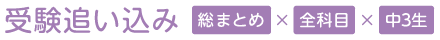 受験追い込み：総まとめ×全科目×中学3年生