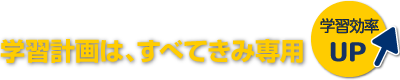 学習計画は、すべてきみ専用。学習効率UP