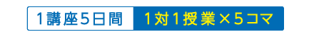 １講座５日間（１対１授業×５コマ）